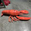 Statue homard grandeur nature