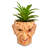 6.5 " H Faux Succulent Plant