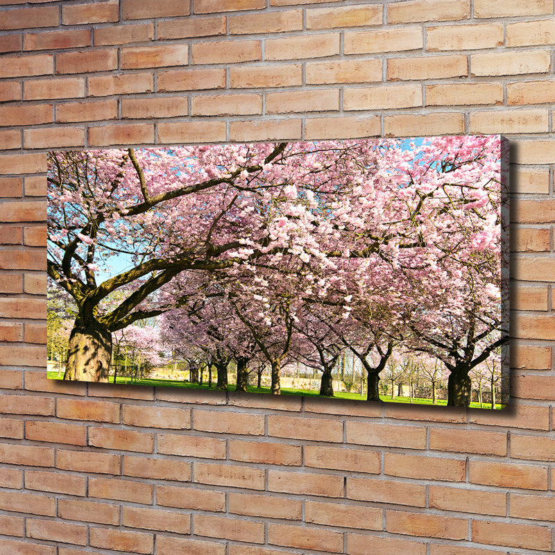 Cherry Trees - No Frame Print on Canvas