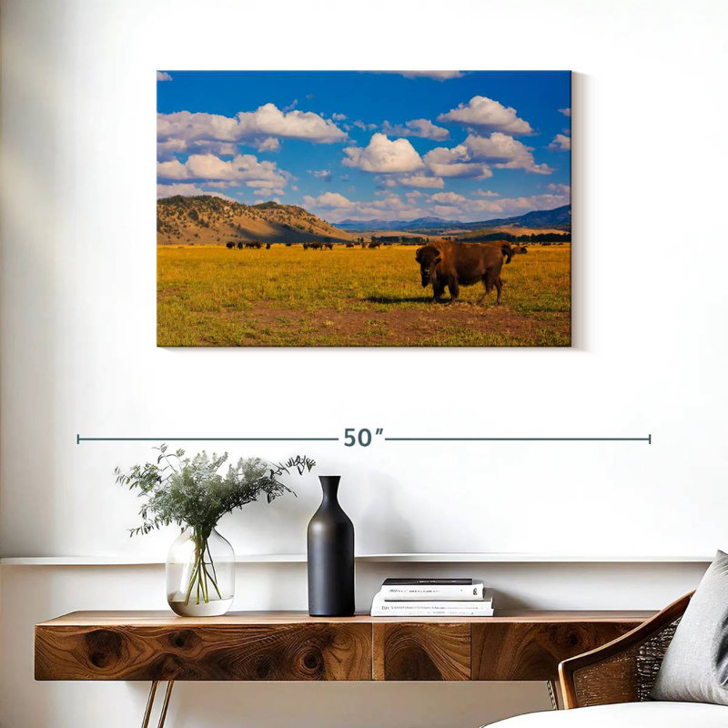 Bison dans le parc national, H 24 po x l 36 po