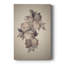 "Vintage Floral Print XXII", impression sur toile encadrée-1936596708