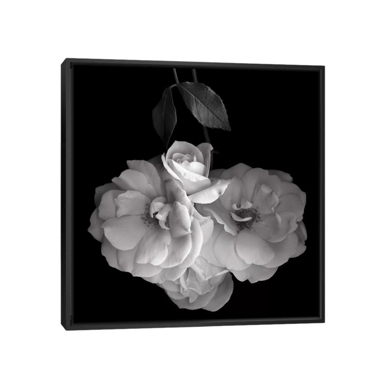 « rose white xvi, b&w » par magda indigo, reproduction d’art sur toile, H 18 po x l 18 po x P 1,5 po, Pas de tapis