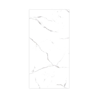 Titan Aluminum Composite 48" W x 96" H Trimmable Single Shower Wall Panel, White Caruso High Gloss