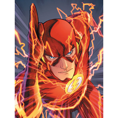 The Flash Graphic Art Print on Canvas