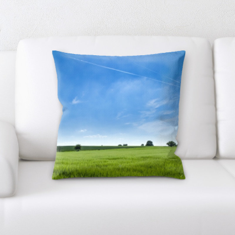 Coussin décoratif Remus