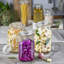 Fido 135.25 oz. Food Jar, Clear