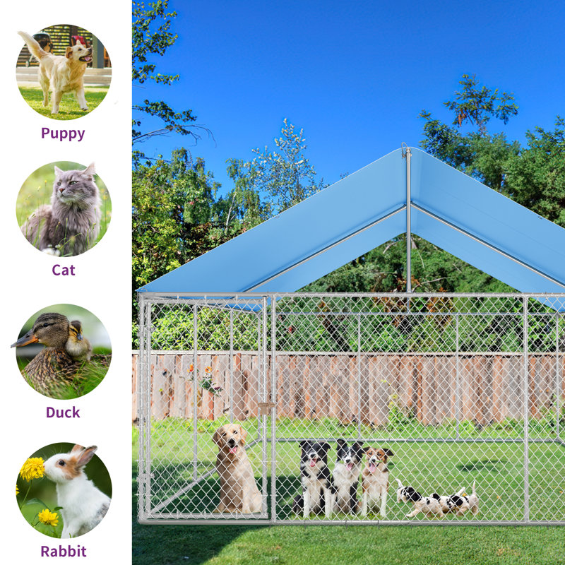 Chenil en métal avec porte pour animaux, H 64,8 po x l 90 po x P 90 po