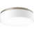 Brushed Nickel is out of stock
