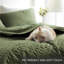 Ensemble de courtepointe simple Homelike Moment, courtepointes légères, beige doux-120291340-120291346