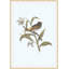 Nesting Navigators Blue 5 Print-292284268