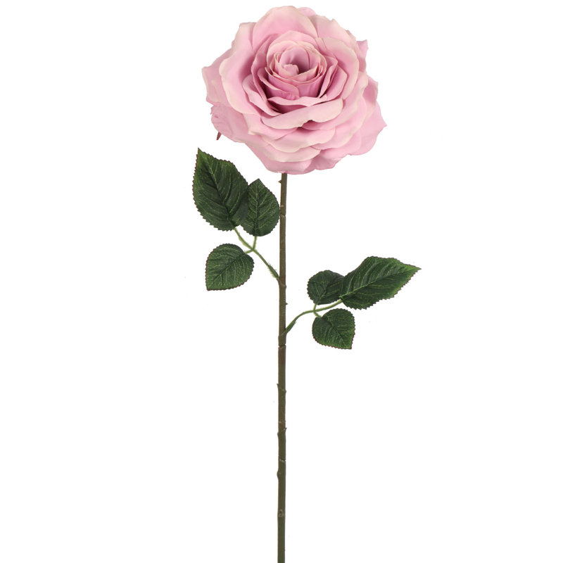 Roses Stem, Lilac