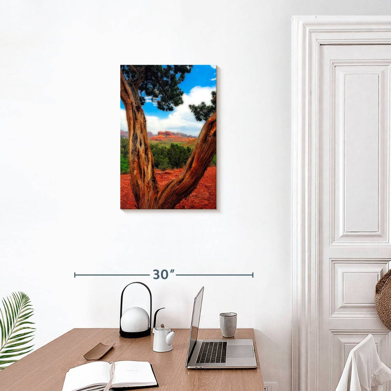 Aime Desert Reds, 24" H x 16" W