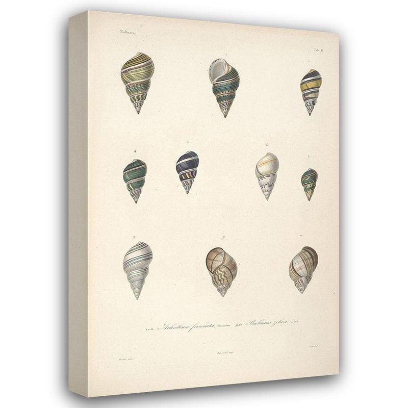 Reproduction d'art sur toile Beachcrest Home ™