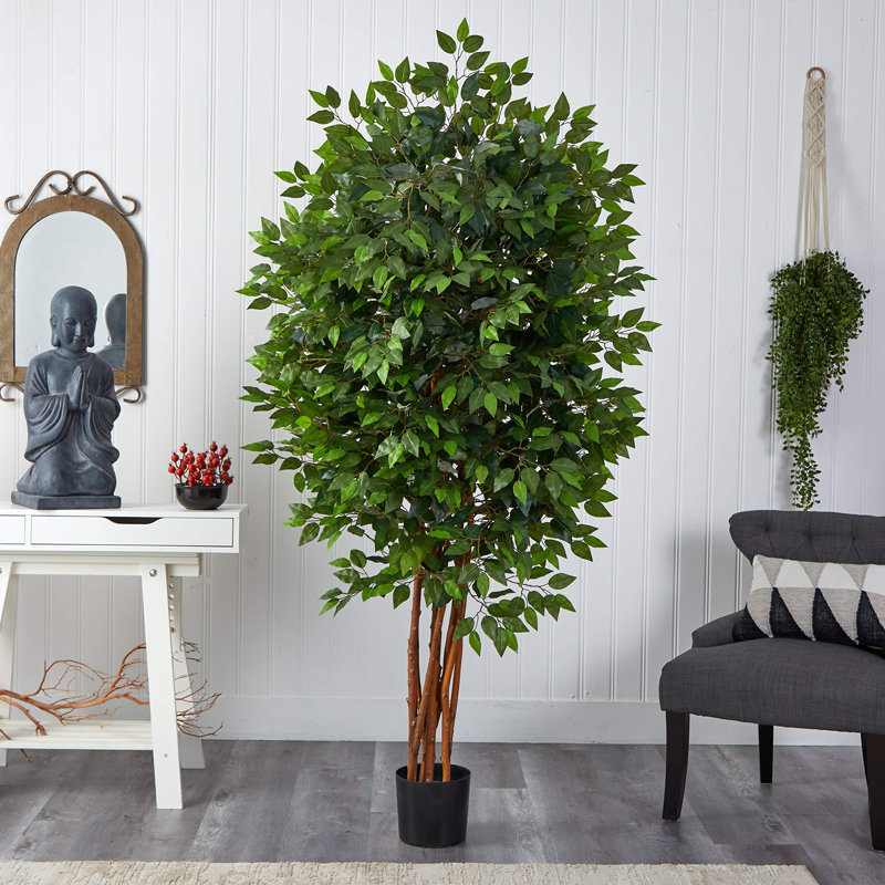 78'' Faux Ficus Tree in Pot