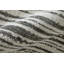 Tapis Whist-1633562914