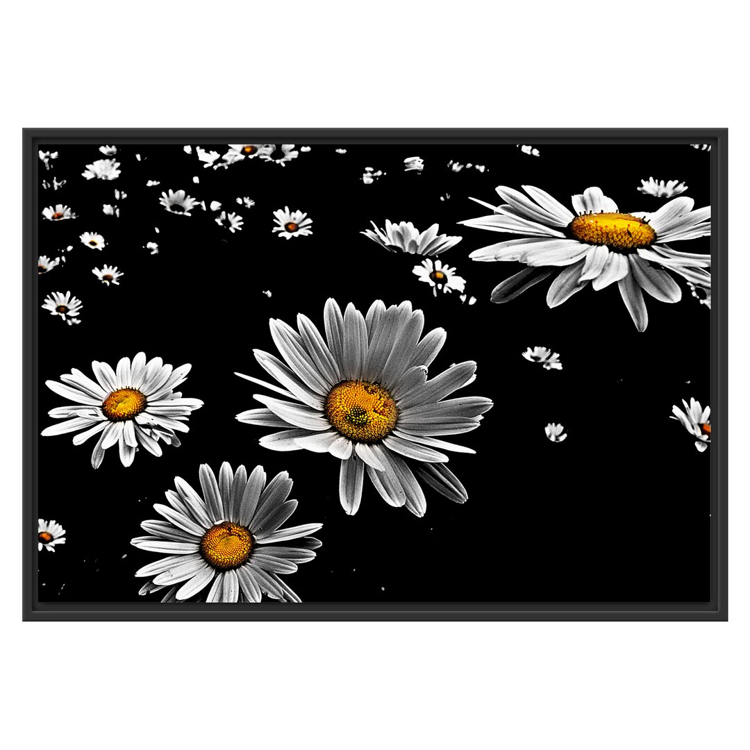 Gerahmter Fotodruck 'Tiny Daisies'