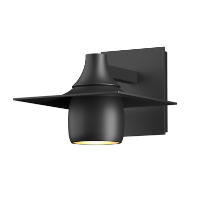 Hood Dark Sky Friendly Outdoor Armed Sconce