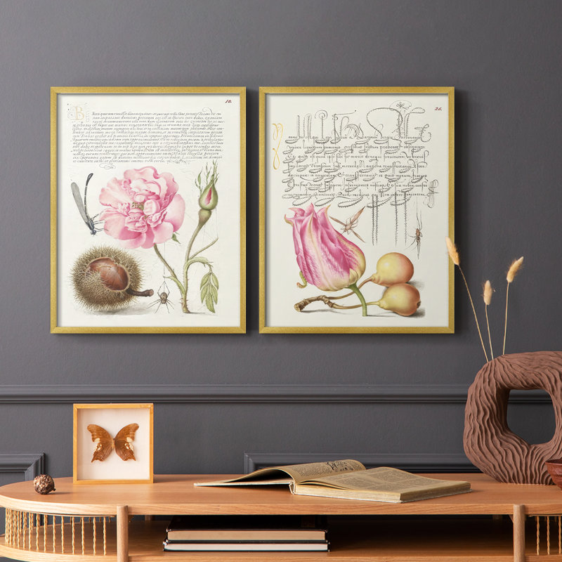 Hoefnagel Tropical Specples II - reproduction encadrée de qualité supérieure - prête à être accrochée - aucun clou requis - aucun clou requis
