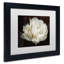 « double blanc tulipe », reproduction de photo sur toile encadrée-32707170-32707173