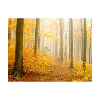 Forêt de datides - Murale d'automne