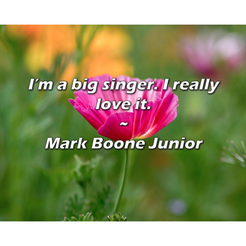 Citation artistique «Je suis un grand chanteur. J'aime vraiment ça.» Toile tendue par Mark Boone, H 13 po x l 18 po