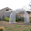 Ausie Hobby Greenhouse-1559951218-1588423487