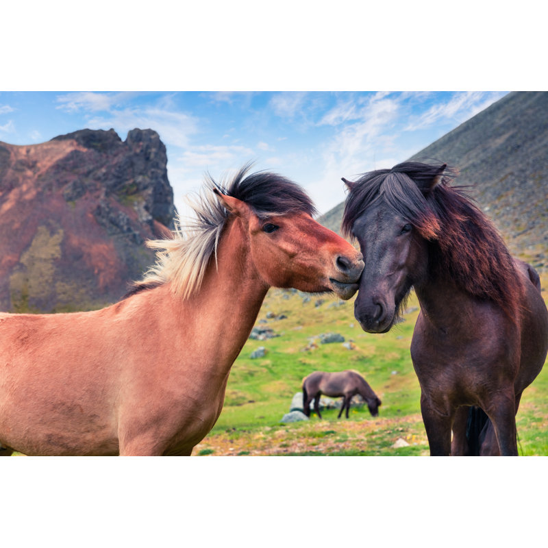 Icelandic Horses by Andrew_Mayovskyy - Wrapped Canvas Print, 20cm H x 30cm W