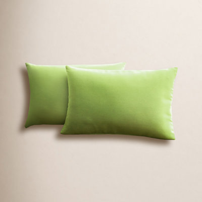 Almeda Indoor/Outdoor Lumbar Throw Pillow