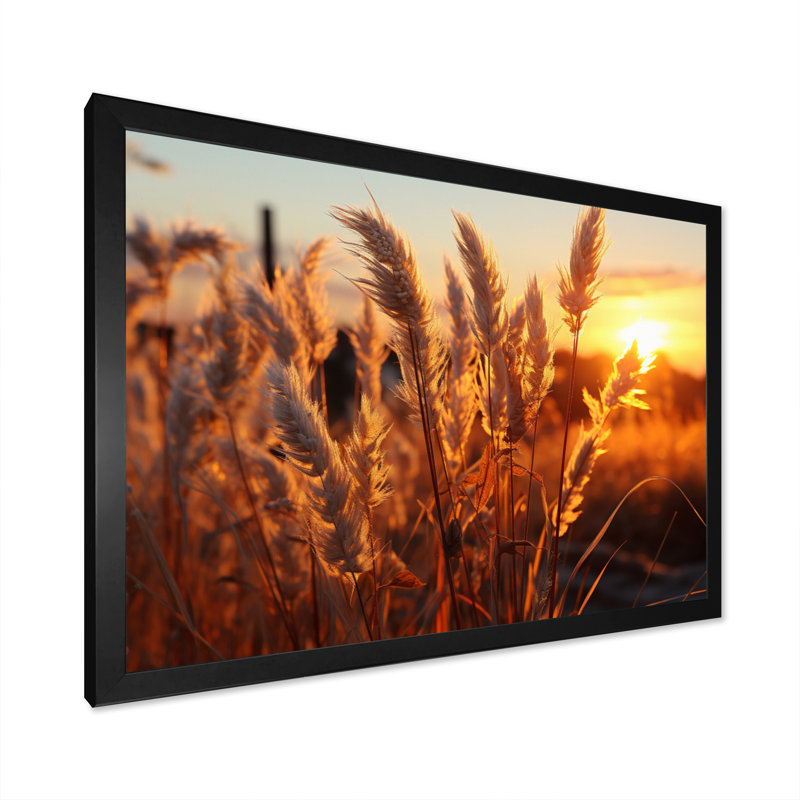 Birds Of Paradise Field VIII, reproduction d'art sur toile, H 24 po x l 32 po x P 1 po, Cadre photo noir