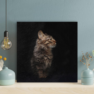 «A Cool Tabby Cat In The Dark», reproduction d'art graphique sur toile tendue carrée 1 pièce