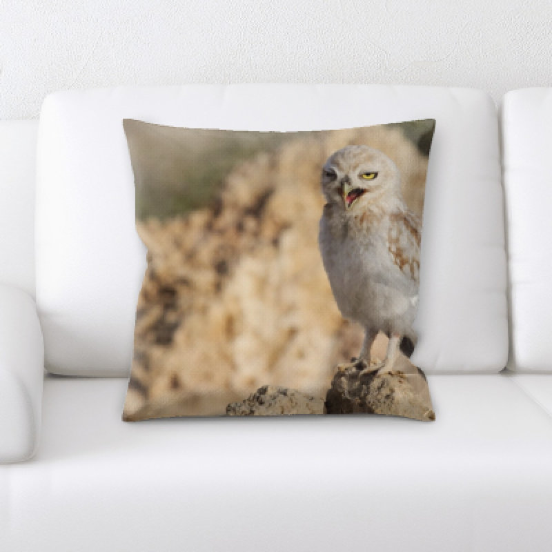 Coussin oiseau