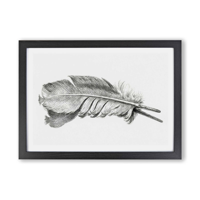 Feather by Jean Bernard - Single Picture Frame Print, 33cm H x 45cm W x 2cm D, Black