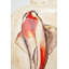 Ceramic Table Lamp