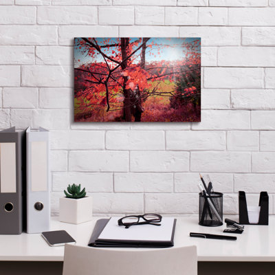 «Fall Forest» par Mark Ashkenazi, art mural sur toile