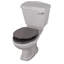 Hernandes Elongated Standard Toilet Seat-38853636