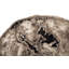 Slice Area Rug-786681217