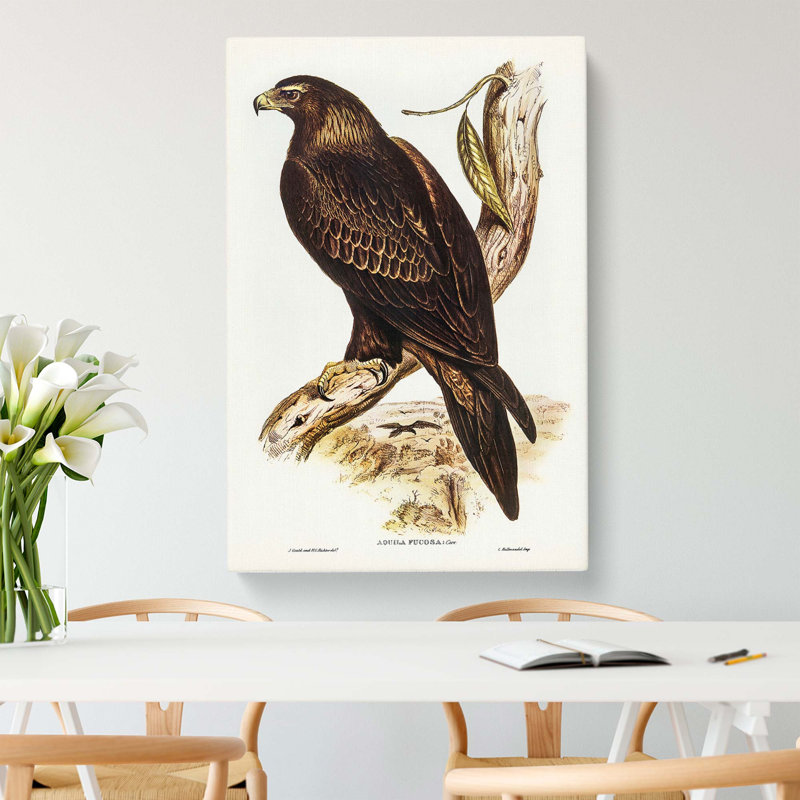 Wedge Tailed Eagle by Elizabeth Gould - Wrapped Canvas Painting, 60cm H x 40cm W x 3cm D
