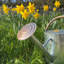 Metal Plant Stand