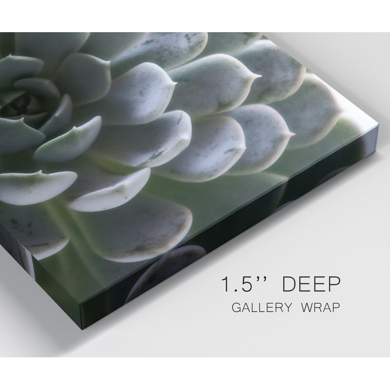 Zen Succulent I - reproduction de photo sur toile tendue, H 60 po x l 40 po x P 1 po