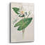 Bungalow rose «Graceful Lily» par Julia Purinton, art mural en verre acrylique-1009140525