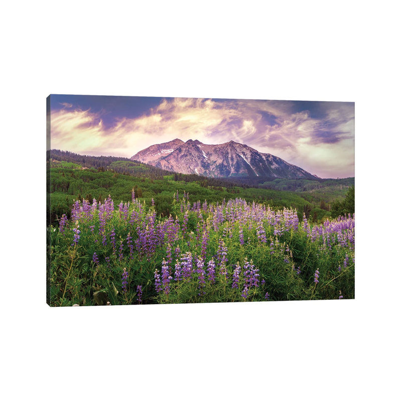 Colorado Wildflowers Summer Landscape - Kebler Pass Lupine Flowers 1 Piece Wall Art on Canvas, Does Not Apply