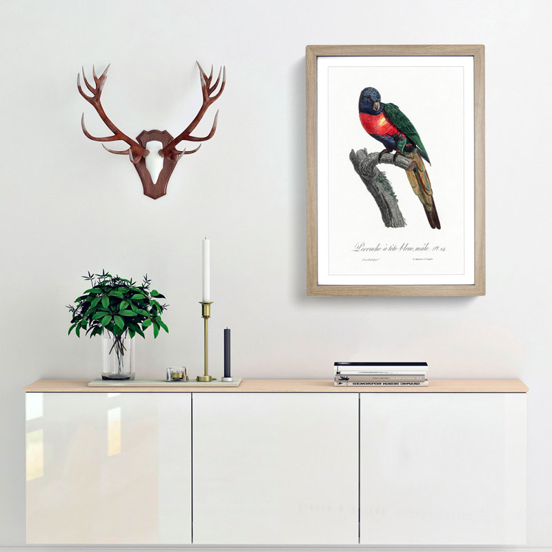 The Plum-Headed Parakeet by F. Levaillant - Picture Frame Painting Print, Oak Framed, 36cm H x 27cm W x 2cm D