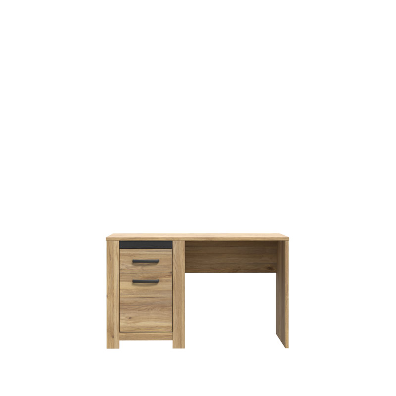 Bergenfield 120Cm W Rectangle Computer Desk with Cabinet