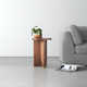 Shayne Solid Wood Abstract End Table