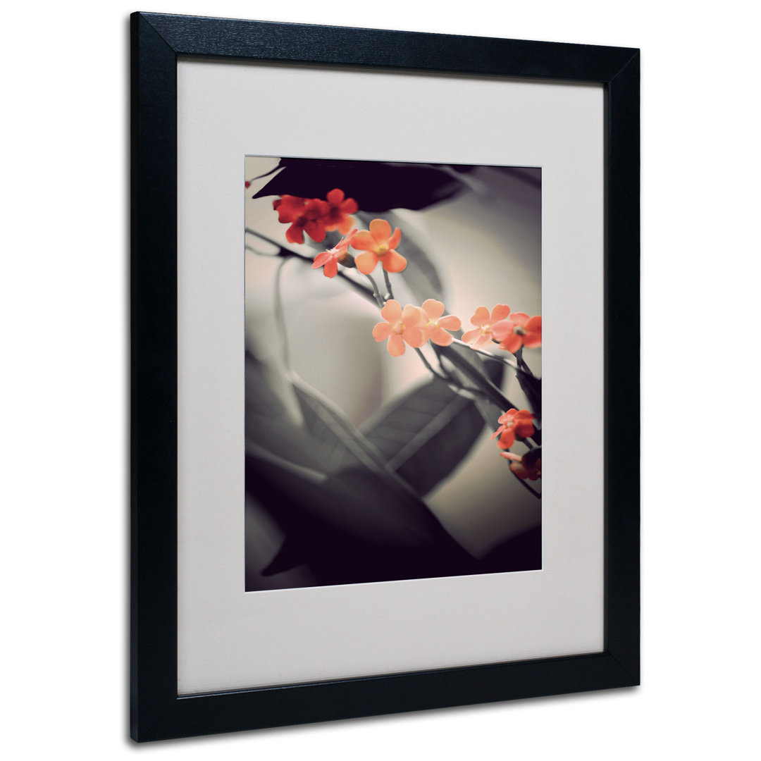 " Soft Gray 1 " by Philippe Sainte-Laudy Trademark Fine Art Frame 