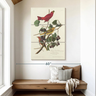 Oiseau rouge Brampt