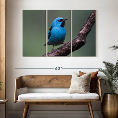 Vivid Blue Bird