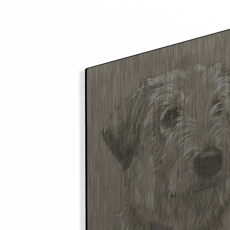 «Irish Wolfhound» par Barbara Keith, H 24 po x l 16 po