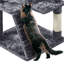 Cat Tree-101437450-105286891