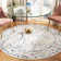 Christa Oriental Light Gray/Fuchsia Area Rug